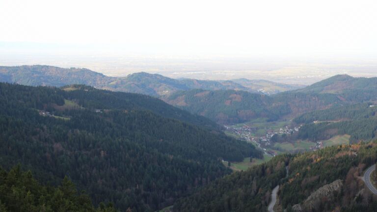 Dieses Bild zeigt eine Webcam-Aufnahme vom Achertal, aufgenommen am Donnerstag, den 13.11.2025 um 08:50 Uhr. Die Temperatur betrug 14.2°C.