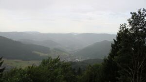 Dieses Bild zeigt eine Webcam-Aufnahme vom Achertal, aufgenommen am Dienstag, den 14.07.2026 um 08:20 Uhr. Die Temperatur betrug 16.5°C.