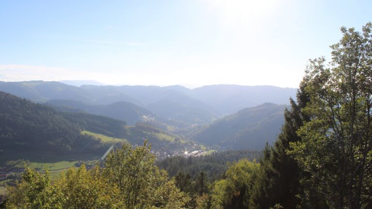 Dieses Bild zeigt eine Webcam-Aufnahme vom Achertal, aufgenommen am Mittwoch, den 14.10.2026 um 16:30 Uhr. Die Temperatur betrug 20°C.