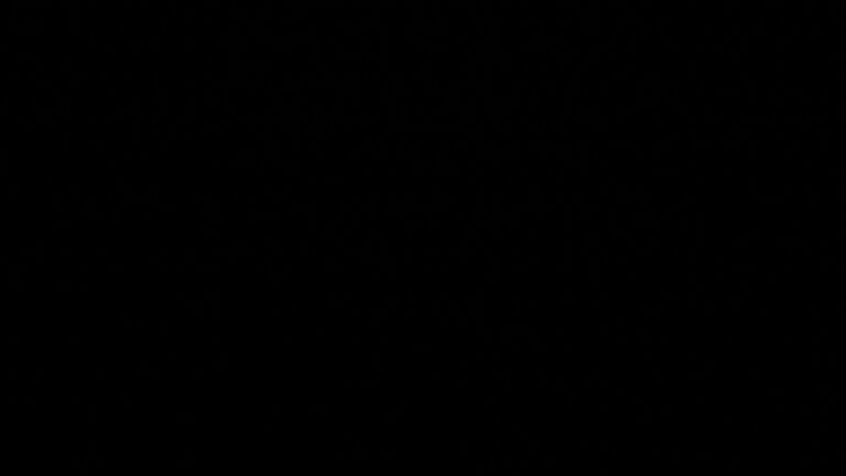 Dieses Bild zeigt eine Webcam-Aufnahme vom Achertal, aufgenommen am Donnerstag, den 12.03.2026 um 00:30 Uhr. Die Temperatur betrug 3.1°C.