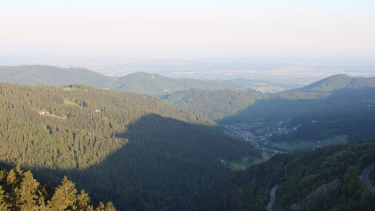 Dieses Bild zeigt eine Webcam-Aufnahme vom Achertal, aufgenommen am Mittwoch, den 14.05.2025 um 06:50 Uhr. Die Temperatur betrug 11.6°C.