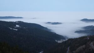 Dieses Bild zeigt eine Webcam-Aufnahme vom Achertal, aufgenommen am Montag, den 19.01.2026 um 08:00 Uhr. Die Temperatur betrug 3.9°C.