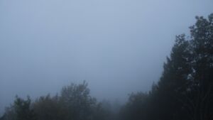 Dieses Bild zeigt eine Webcam-Aufnahme vom Achertal, aufgenommen am Samstag, den 17.10.2026 um 07:50 Uhr. Die Temperatur betrug 11.3°C.
