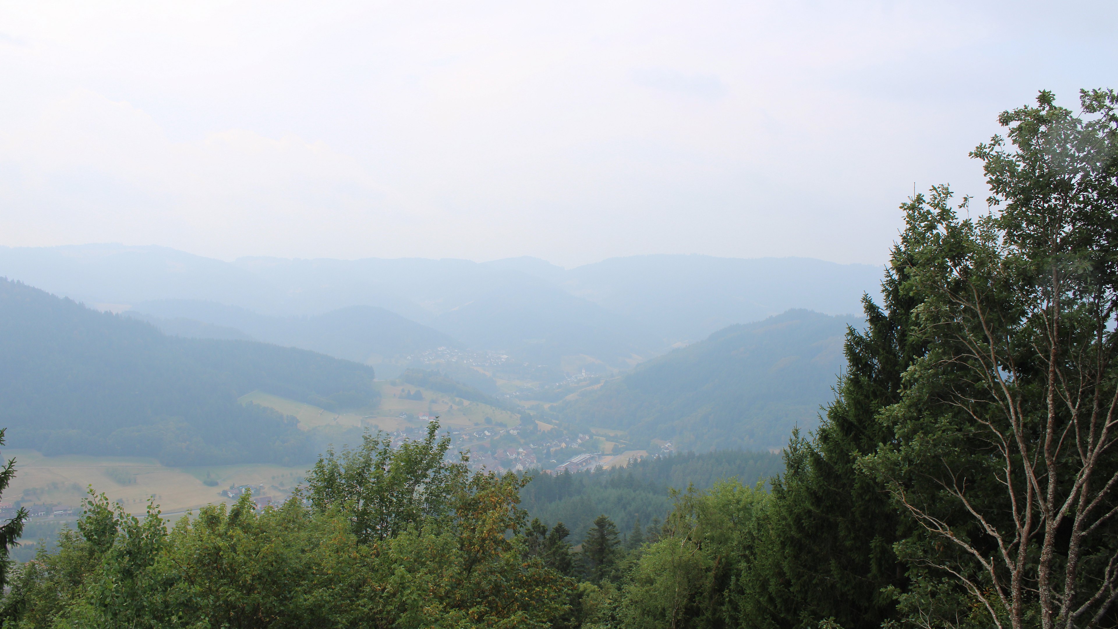 Zum Fotoarchiv vom Montag, 17. August 2026