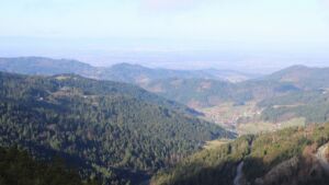 Dieses Bild zeigt eine Webcam-Aufnahme vom Achertal, aufgenommen am Sonntag, den 01.03.2026 um 09:30 Uhr. Die Temperatur betrug 4.6°C.