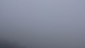 Dieses Bild zeigt eine Webcam-Aufnahme vom Achertal, aufgenommen am Donnerstag, den 19.02.2026 um 16:00 Uhr. Die Temperatur betrug 1.6°C.