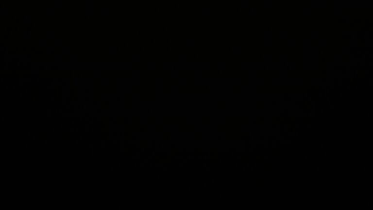 Dieses Bild zeigt eine Webcam-Aufnahme vom Achertal, aufgenommen am Samstag, den 29.11.2025 um 04:30 Uhr. Die Temperatur betrug 3.8°C.