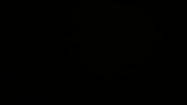 Dieses Bild zeigt eine Webcam-Aufnahme vom Achertal, aufgenommen am Sonntag, den 26.10.2025 um 05:20 Uhr. Die Temperatur betrug 0.7°C.