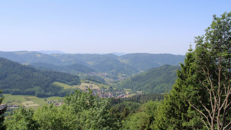 Dieses Bild zeigt eine Webcam-Aufnahme vom Achertal, aufgenommen am Montag, den 25.05.2026 um 11:50 Uhr. Die Temperatur betrug 25.5°C.