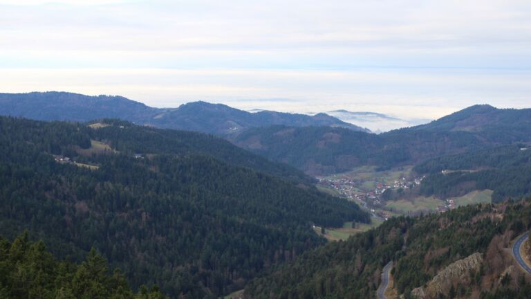 Dieses Bild zeigt eine Webcam-Aufnahme vom Achertal, aufgenommen am Mittwoch, den 17.12.2025 um 10:30 Uhr. Die Temperatur betrug 6.3°C.