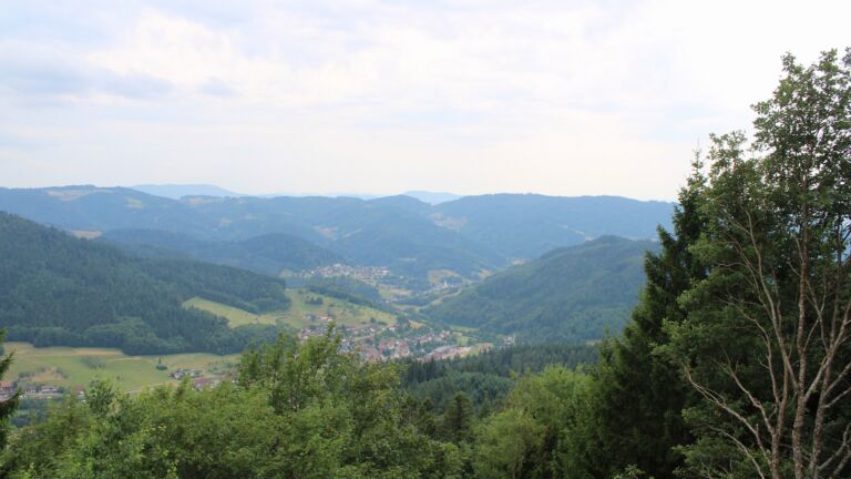 Dieses Bild zeigt eine Webcam-Aufnahme vom Achertal, aufgenommen am Mittwoch, den 15.07.2026 um 15:50 Uhr. Die Temperatur betrug 26.5°C.