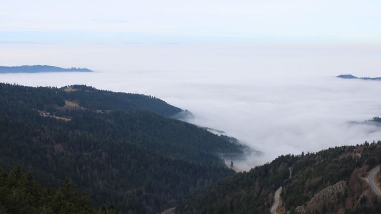 Dieses Bild zeigt eine Webcam-Aufnahme vom Achertal, aufgenommen am Montag, den 22.12.2025 um 11:00 Uhr. Die Temperatur betrug 10.2°C.