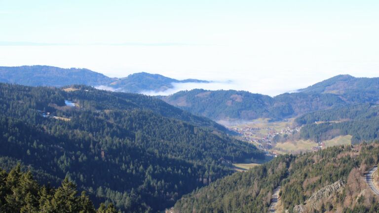 Dieses Bild zeigt eine Webcam-Aufnahme vom Achertal, aufgenommen am Sonntag, den 08.02.2026 um 12:10 Uhr. Die Temperatur betrug 4.8°C.