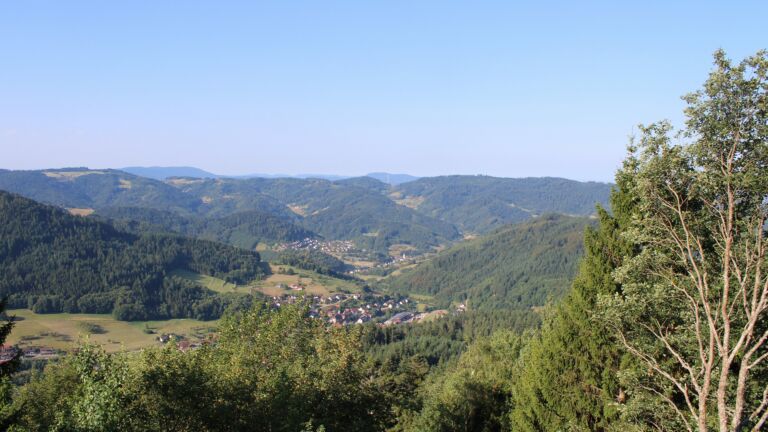 Dieses Bild zeigt eine Webcam-Aufnahme vom Achertal, aufgenommen am Mittwoch, den 29.07.2026 um 08:50 Uhr. Die Temperatur betrug 29.2°C.