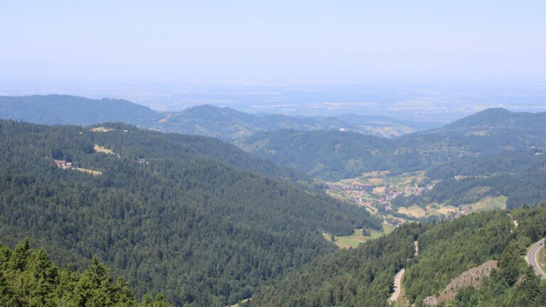 Dieses Bild zeigt eine Webcam-Aufnahme vom Achertal, aufgenommen am Sonntag, den 22.06.2025 um 11:40 Uhr. Die Temperatur betrug 24°C.