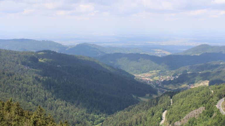 Dieses Bild zeigt eine Webcam-Aufnahme vom Achertal, aufgenommen am Freitag, den 23.05.2025 um 11:50 Uhr. Die Temperatur betrug 6.8°C.