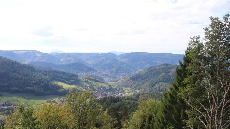 Dieses Bild zeigt eine Webcam-Aufnahme vom Achertal, aufgenommen am Freitag, den 16.10.2026 um 12:50 Uhr. Die Temperatur betrug 19.2°C.