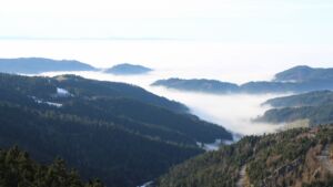 Dieses Bild zeigt eine Webcam-Aufnahme vom Achertal, aufgenommen am Dienstag, den 20.01.2026 um 14:30 Uhr. Die Temperatur betrug 13.1°C.