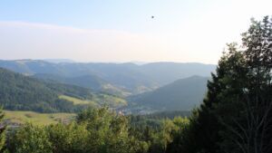 Dieses Bild zeigt eine Webcam-Aufnahme vom Achertal, aufgenommen am Samstag, den 18.07.2026 um 19:50 Uhr. Die Temperatur betrug 22.9°C.
