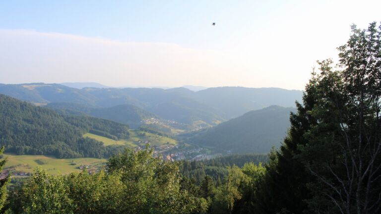 Dieses Bild zeigt eine Webcam-Aufnahme vom Achertal, aufgenommen am Samstag, den 18.07.2026 um 19:50 Uhr. Die Temperatur betrug 22.9°C.