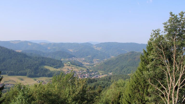 Dieses Bild zeigt eine Webcam-Aufnahme vom Achertal, aufgenommen am Freitag, den 31.07.2026 um 09:50 Uhr. Die Temperatur betrug 29.6°C.
