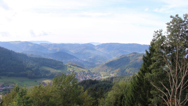 Dieses Bild zeigt eine Webcam-Aufnahme vom Achertal, aufgenommen am Samstag, den 03.10.2026 um 11:30 Uhr. Die Temperatur betrug 19.4°C.