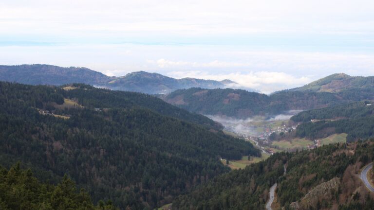 Dieses Bild zeigt eine Webcam-Aufnahme vom Achertal, aufgenommen am Samstag, den 20.12.2025 um 11:00 Uhr. Die Temperatur betrug 8.4°C.