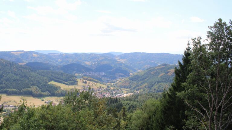 Dieses Bild zeigt eine Webcam-Aufnahme vom Achertal, aufgenommen am Mittwoch, den 19.08.2026 um 14:30 Uhr. Die Temperatur betrug 27.2°C.