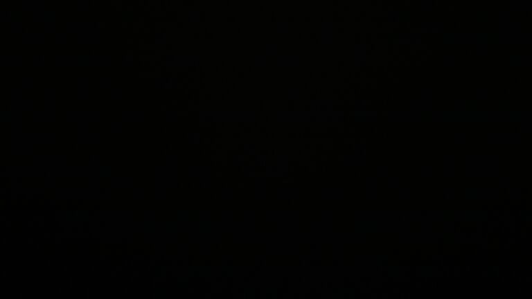 Dieses Bild zeigt eine Webcam-Aufnahme vom Achertal, aufgenommen am Samstag, den 07.06.2025 um 02:30 Uhr. Die Temperatur betrug 11.4°C.