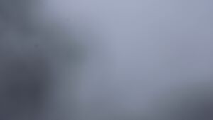 Dieses Bild zeigt eine Webcam-Aufnahme vom Achertal, aufgenommen am Donnerstag, den 20.11.2025 um 14:30 Uhr. Die Temperatur betrug -3.2°C.