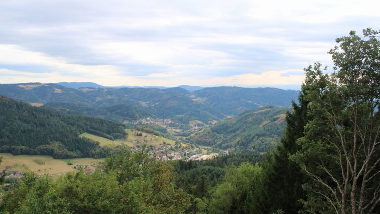 Dieses Bild zeigt eine Webcam-Aufnahme vom Achertal, aufgenommen am Dienstag, den 18.08.2026 um 16:30 Uhr. Die Temperatur betrug 22°C.