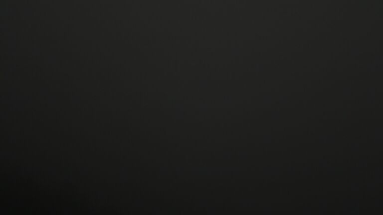 Dieses Bild zeigt eine Webcam-Aufnahme vom Achertal, aufgenommen am Montag, den 08.12.2025 um 05:00 Uhr. Die Temperatur betrug 7.8°C.