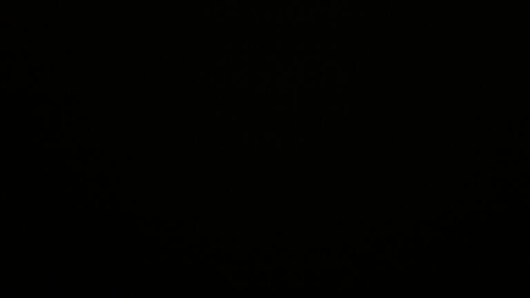 Dieses Bild zeigt eine Webcam-Aufnahme vom Achertal, aufgenommen am Donnerstag, den 21.08.2025 um 04:20 Uhr. Die Temperatur betrug 13°C.
