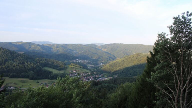 Dieses Bild zeigt eine Webcam-Aufnahme vom Achertal, aufgenommen am Dienstag, den 21.07.2026 um 06:50 Uhr. Die Temperatur betrug 11.5°C.