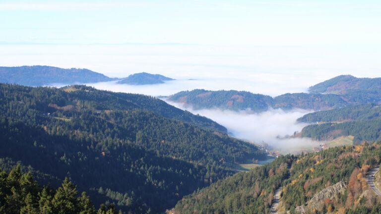 Dieses Bild zeigt eine Webcam-Aufnahme vom Achertal, aufgenommen am Samstag, den 08.11.2025 um 11:20 Uhr. Die Temperatur betrug 11.1°C.