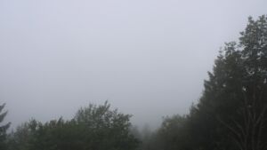 Dieses Bild zeigt eine Webcam-Aufnahme vom Achertal, aufgenommen am Mittwoch, den 01.07.2026 um 11:00 Uhr. Die Temperatur betrug 17.9°C.