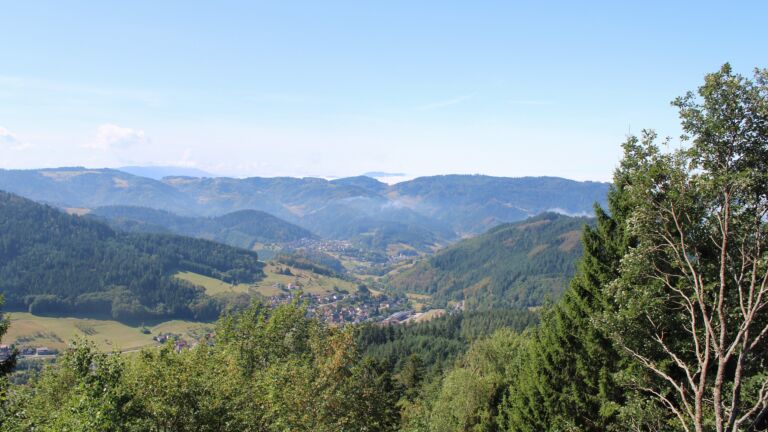 Dieses Bild zeigt eine Webcam-Aufnahme vom Achertal, aufgenommen am Mittwoch, den 26.08.2026 um 11:50 Uhr. Die Temperatur betrug 25.1°C.