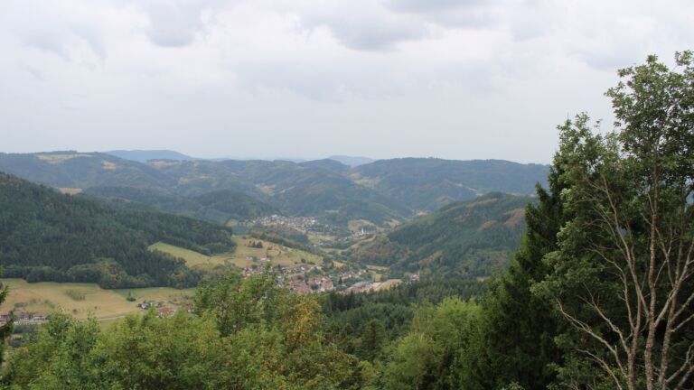 Dieses Bild zeigt eine Webcam-Aufnahme vom Achertal, aufgenommen am Freitag, den 21.08.2026 um 11:20 Uhr. Die Temperatur betrug 17.3°C.