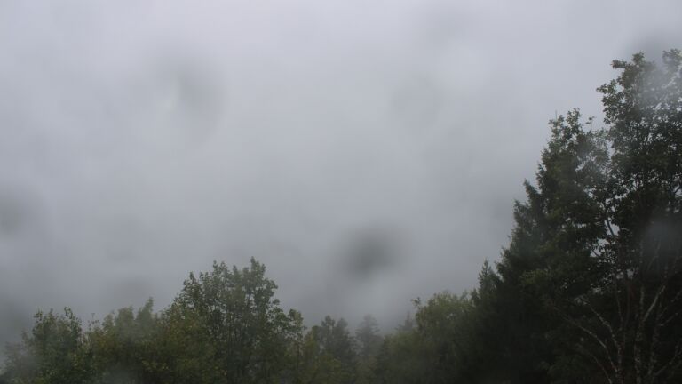 Dieses Bild zeigt eine Webcam-Aufnahme vom Achertal, aufgenommen am Donnerstag, den 08.10.2026 um 11:30 Uhr. Die Temperatur betrug 10.6°C.