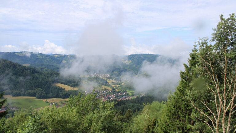 Dieses Bild zeigt eine Webcam-Aufnahme vom Achertal, aufgenommen am Montag, den 29.06.2026 um 09:50 Uhr. Die Temperatur betrug 20.2°C.