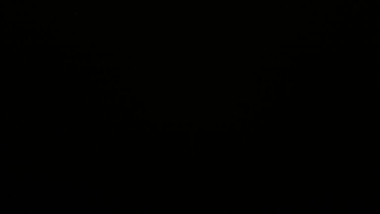 Dieses Bild zeigt eine Webcam-Aufnahme vom Achertal, aufgenommen am Mittwoch, den 11.03.2026 um 02:00 Uhr. Die Temperatur betrug 4.6°C.