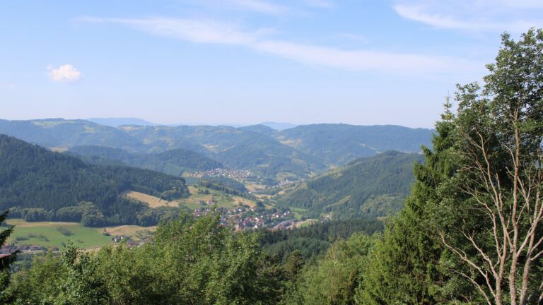 Dieses Bild zeigt eine Webcam-Aufnahme vom Achertal, aufgenommen am Dienstag, den 23.06.2026 um 10:10 Uhr. Die Temperatur betrug 30.5°C.
