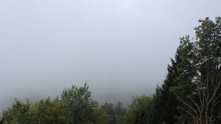 Dieses Bild zeigt eine Webcam-Aufnahme vom Achertal, aufgenommen am Freitag, den 02.10.2026 um 12:10 Uhr. Die Temperatur betrug 17.1°C.