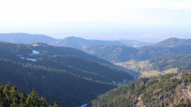 Dieses Bild zeigt eine Webcam-Aufnahme vom Achertal, aufgenommen am Freitag, den 16.01.2026 um 14:10 Uhr. Die Temperatur betrug 9.6°C.