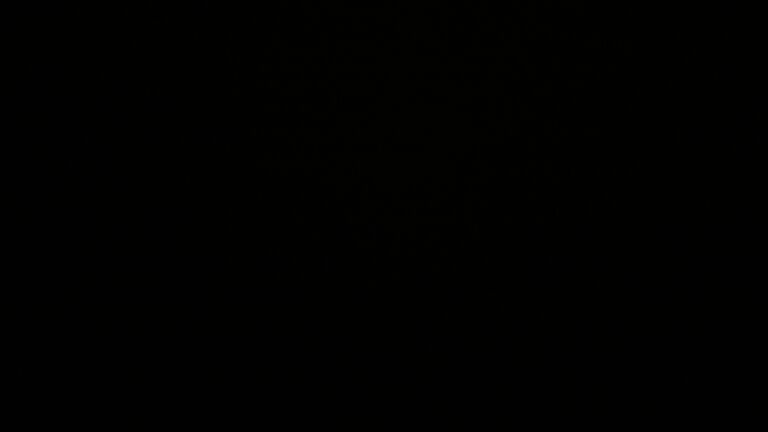 Dieses Bild zeigt eine Webcam-Aufnahme vom Achertal, aufgenommen am Donnerstag, den 22.05.2025 um 01:30 Uhr. Die Temperatur betrug 6°C.