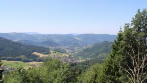 Dieses Bild zeigt eine Webcam-Aufnahme vom Achertal, aufgenommen am Donnerstag, den 25.06.2026 um 12:20 Uhr. Die Temperatur betrug 31.7°C.