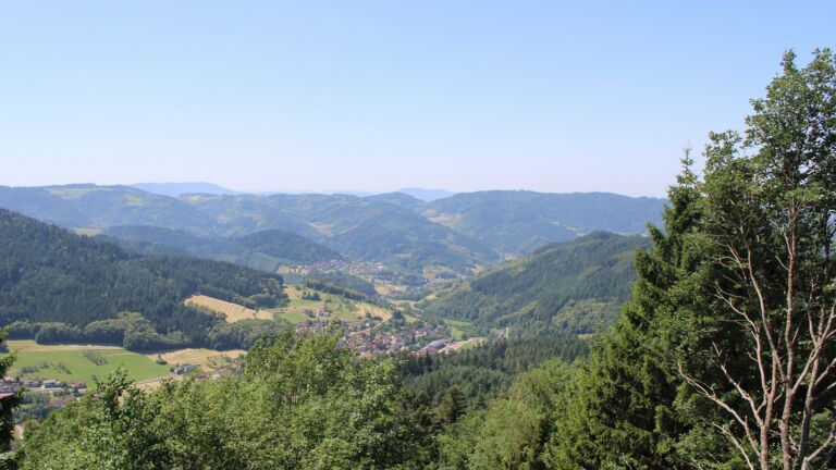 Dieses Bild zeigt eine Webcam-Aufnahme vom Achertal, aufgenommen am Donnerstag, den 25.06.2026 um 12:20 Uhr. Die Temperatur betrug 31.7°C.