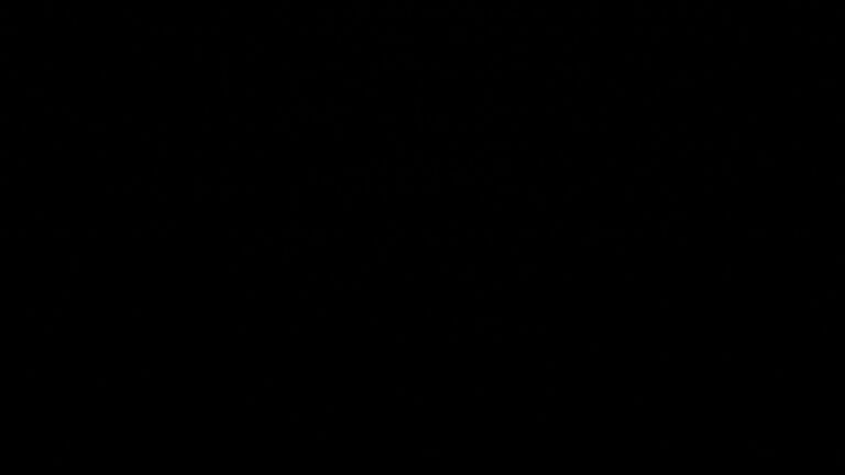 Dieses Bild zeigt eine Webcam-Aufnahme vom Achertal, aufgenommen am Montag, den 11.05.2026 um 04:30 Uhr. Die Temperatur betrug 8.9°C.