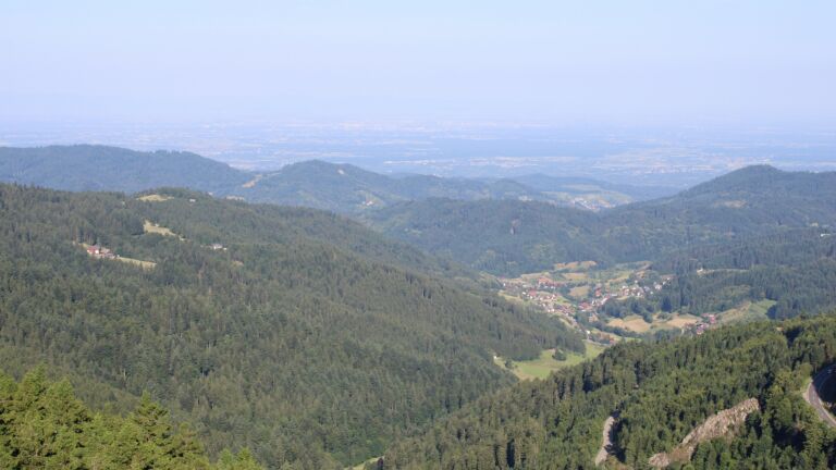 Dieses Bild zeigt eine Webcam-Aufnahme vom Achertal, aufgenommen am Mittwoch, den 18.06.2025 um 08:40 Uhr. Die Temperatur betrug 19.8°C.