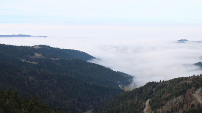 Dieses Bild zeigt eine Webcam-Aufnahme vom Achertal, aufgenommen am Montag, den 22.12.2025 um 11:40 Uhr. Die Temperatur betrug 8.8°C.